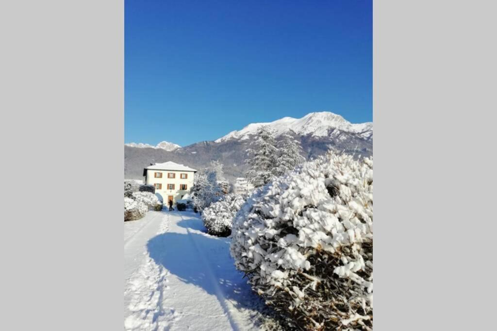 Villa Perale: La Tua Casa Alle Pendici Delle Dolomiti Belluno Exterior foto